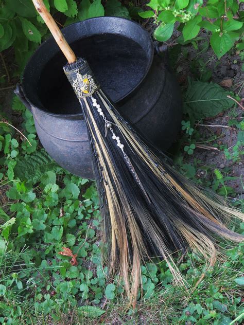 Definition of witches broom purpose